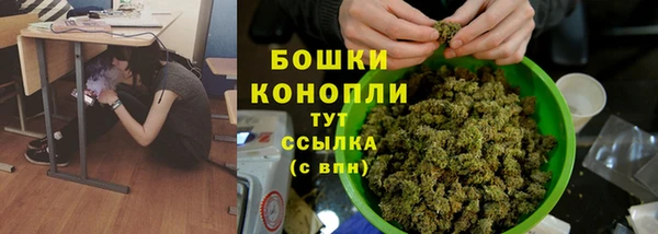 apvp Белокуриха