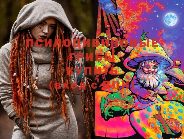 apvp Белокуриха