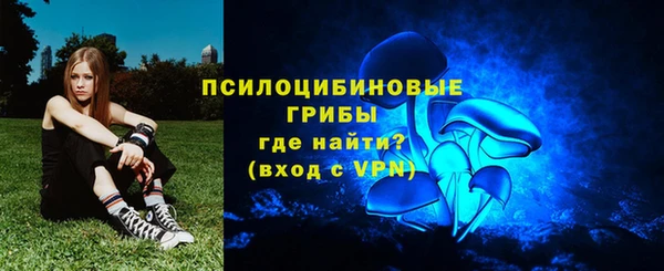 дживик Беломорск